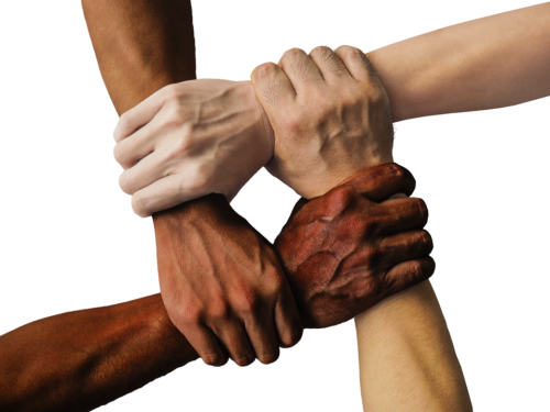 membership